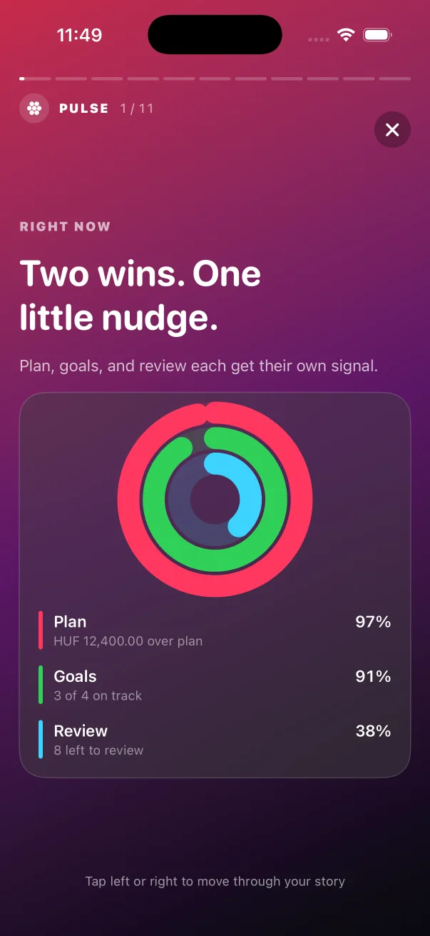 Pigget's Pulse money story showing plan, goals, and review progress
